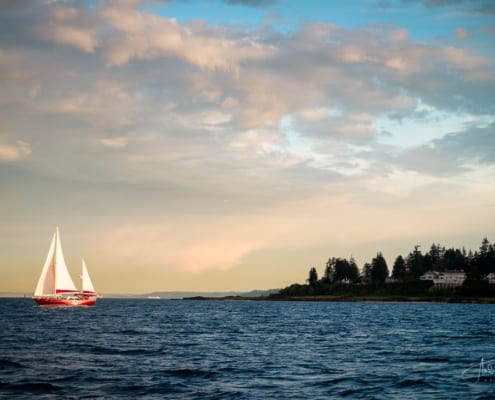 Sail Bainbridge