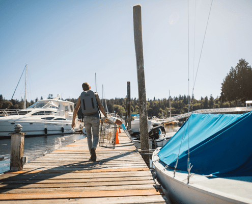 Sail Bainbridge