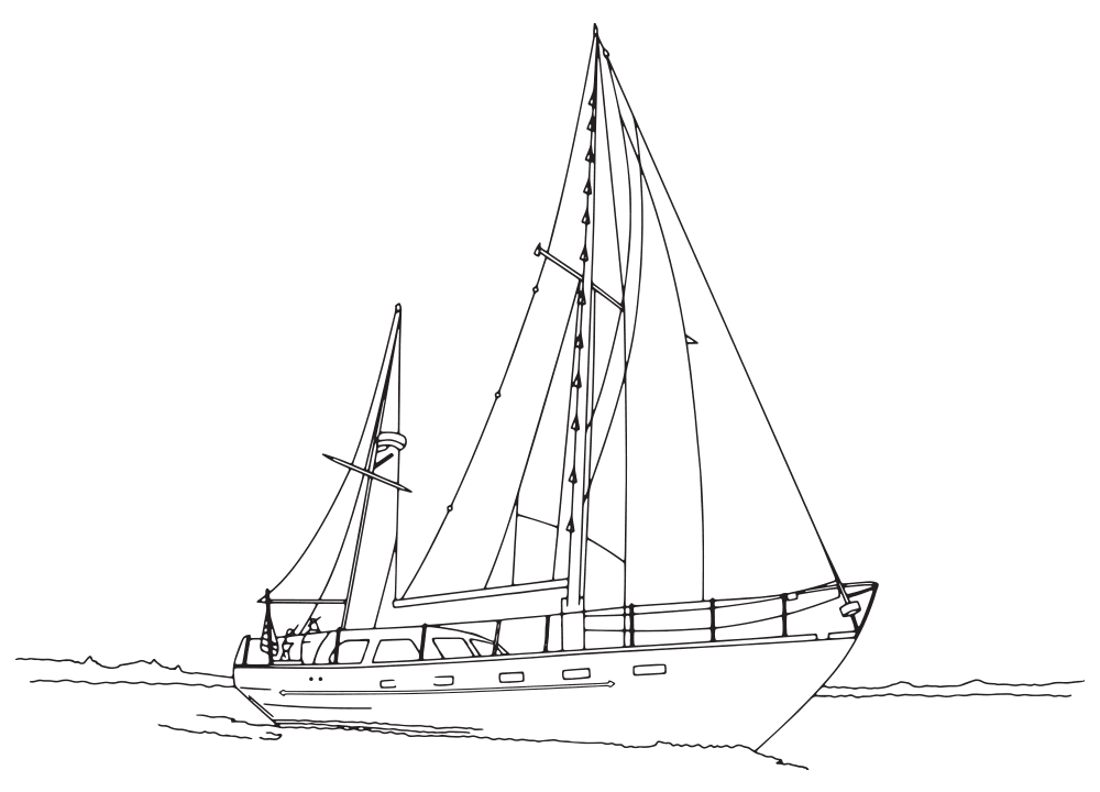 Sail Bainbridge line drawing