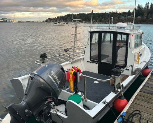 White motorboat docked at a wooden pier, with a Yamaha outboard engine and calm harbor in the background.