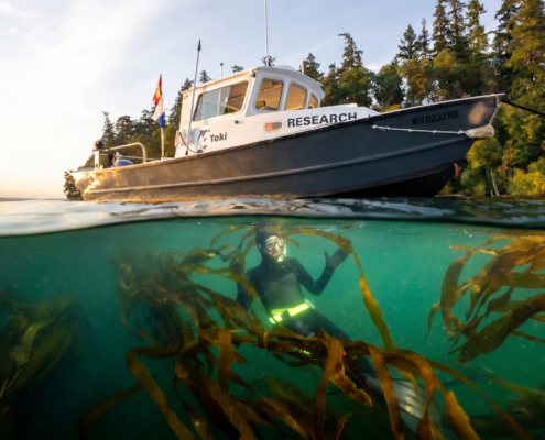 Powerboat named 'RESEARCH' floats at the waterline with a forested shoreline in the background; an underwater diver swims through brown kelp below the surface.